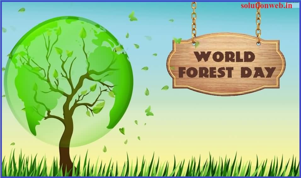 World Forestry Day 2023 International Day of Forests 2023