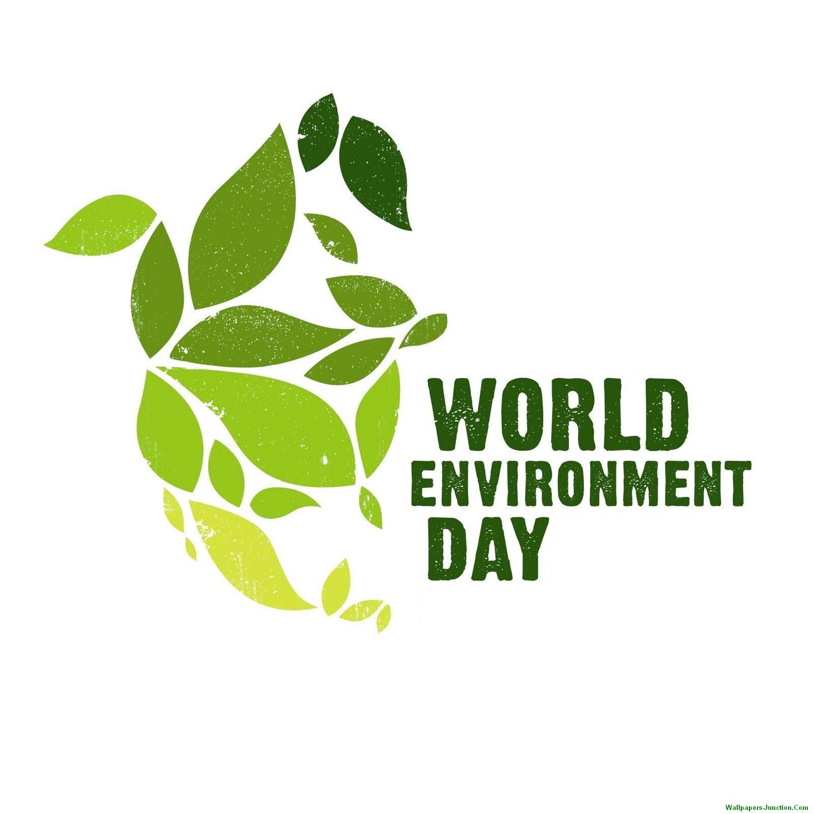 World Environment Day 2024 Theme, History and Information