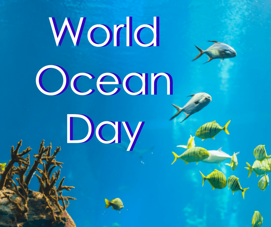 National Ocean Day 2024 - Angele Colline